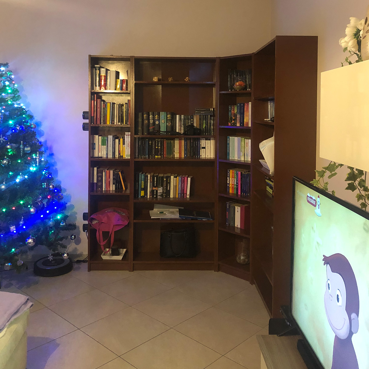 FOTOGRAFIE - PRIMA 1