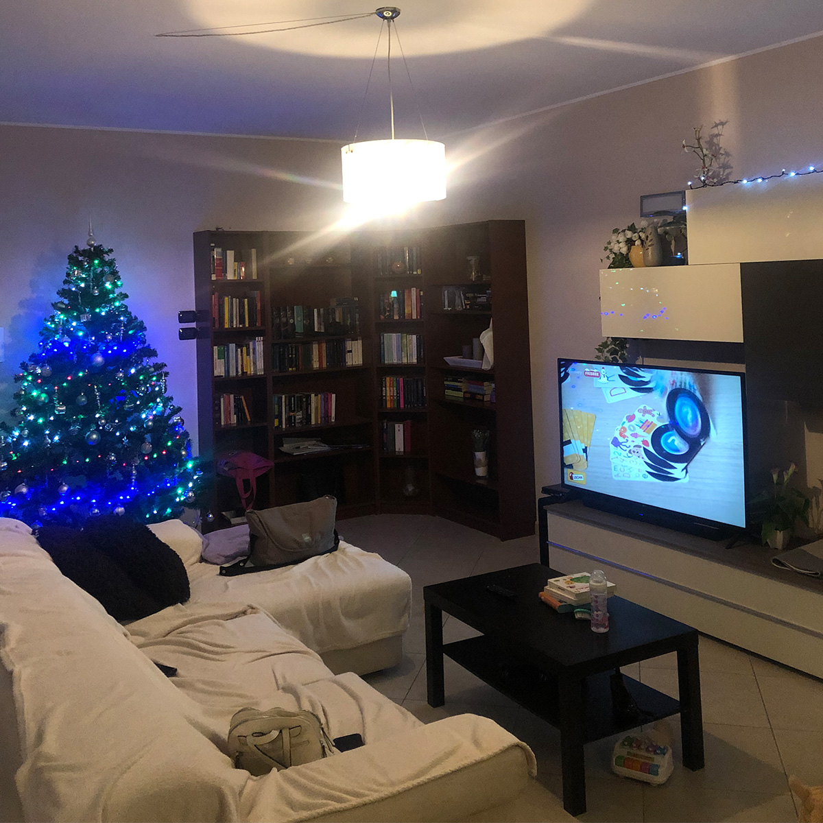 FOTOGRAFIE - PRIMA 6